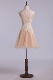 Homecoming DressesTwo Pieces Scoop Tulle With Applique Mini