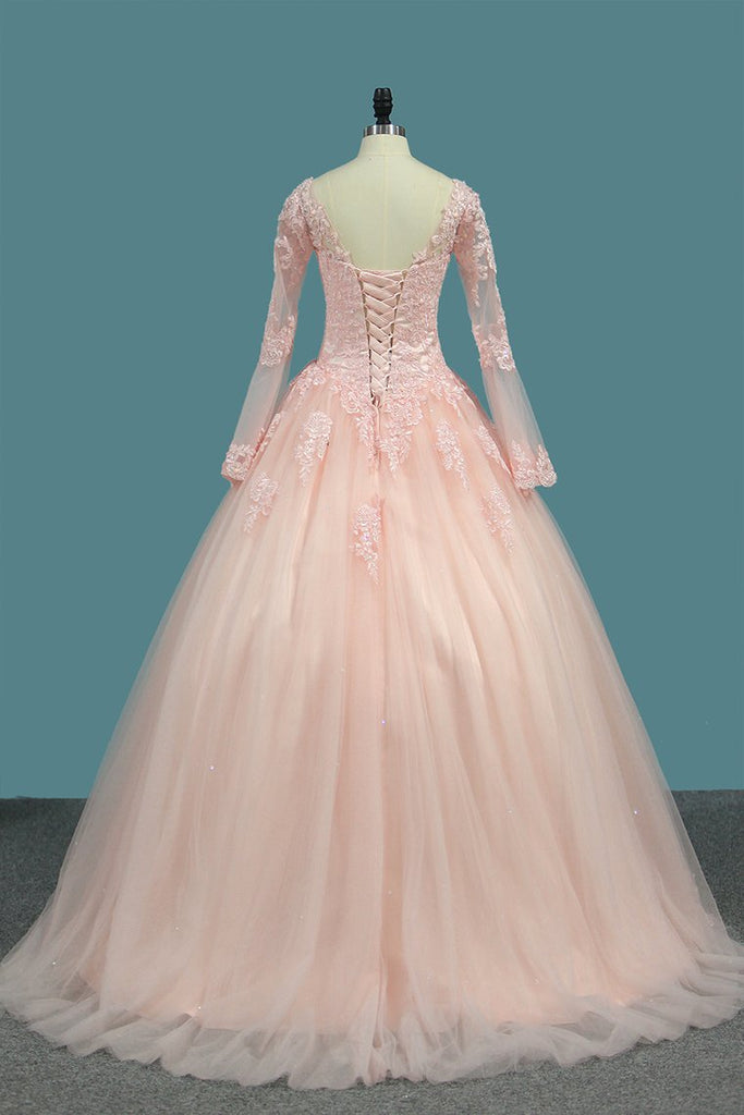 Ball Gown Long Sleeves V Neck Quinceanera Dresses Tulle With Applique