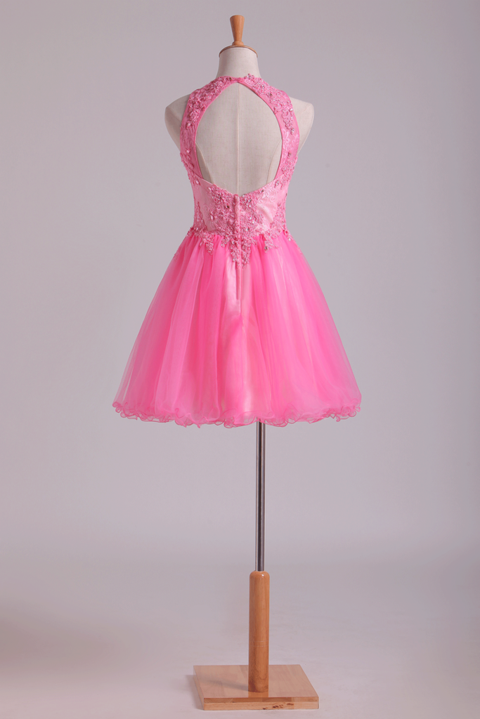Lovely Homecoming Dresses Scoop A Line Short Tulle With Applique