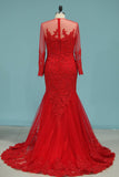 Prom Dresses Mermaid/Trumpet Tulle Bateau Court Train With Applique And Beading