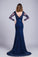 V-Neck Evening Dresses Mermaid With Applique Lace And Tulle