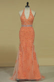 Column V Neck Prom Dresses Tulle With Beading And Applique Open Back