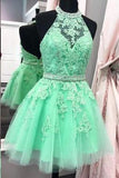 Halter Open Back Appliques Beads Tulle Lace Homecoming Dress JS529