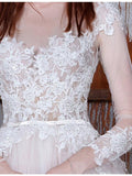 Long A-Line Long Sleeve Tulle Lace Plus Size Princess Elegant Wedding Dress JS32