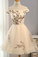 Embroidery Homecoming Dresses Tulle Short Party Dresses A Line Prom Dresses GD00015