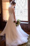 Elegant A Line Lace Appliques Deep V Neck Backless Halter Tulle Beach Wedding Dresses JS858