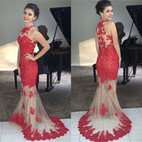 Mermaid Red Lace Bodice Modest Evening Dress With Champagne Tulle Long Party Gown JS150