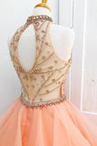 Chic A-Line Halter Open Back Sleeveless Pearl Pink Beading Tulle Modest Long Prom Dresses JS221